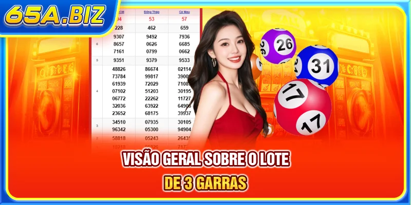 Visão geral sobre o lote de 3 garras